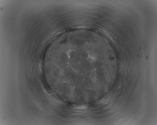 X0000067870643200604271737