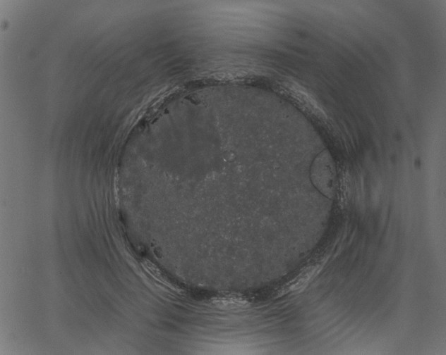 X0000067870644200604271737