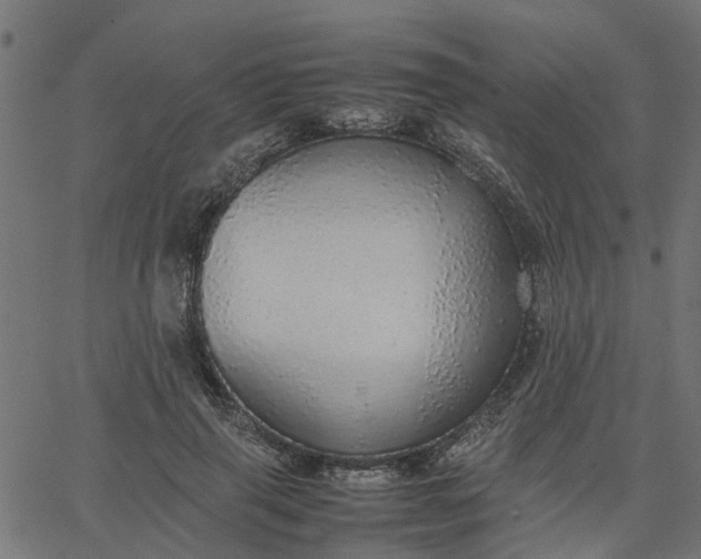 X0000067870645200604271737