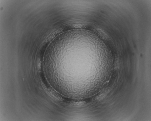 X0000067870646200604271737