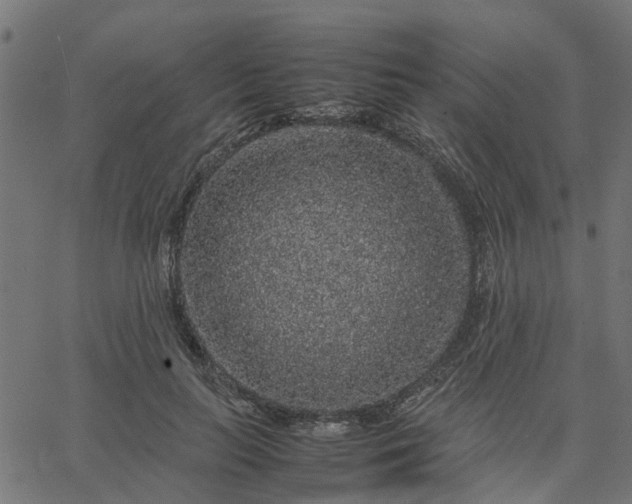 X0000067870647200604271737