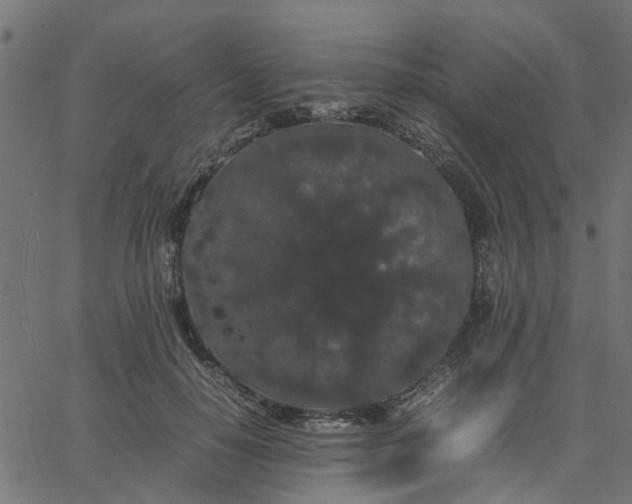 X0000067870650200604271737