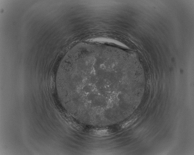 X0000067870651200604271737