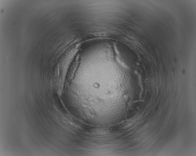 X0000067870652200604271737