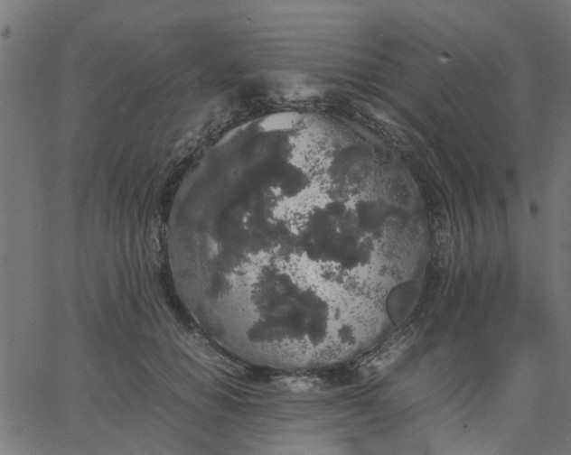 X0000067870654200604271737