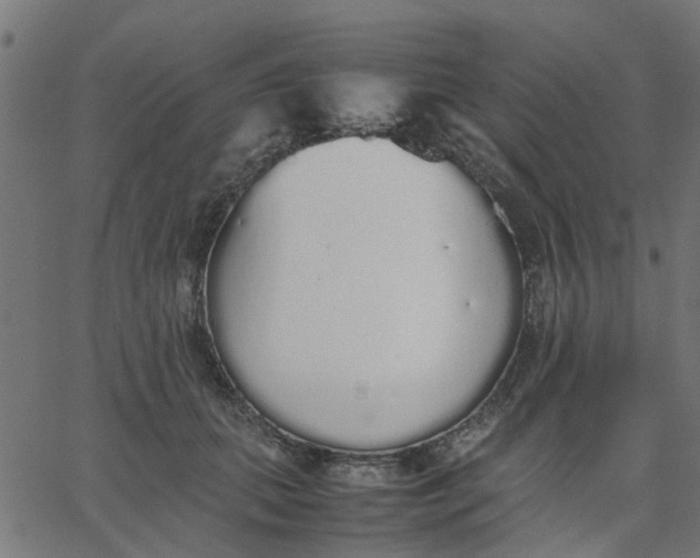 X0000067870655200604271737