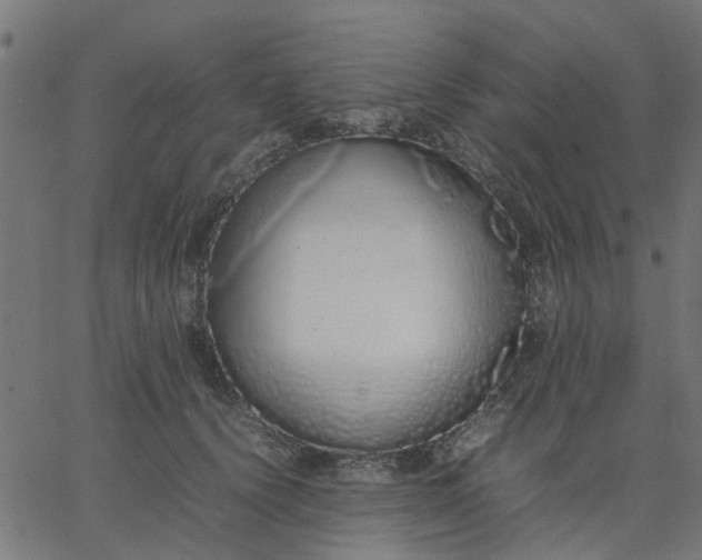 X0000067870656200604271737