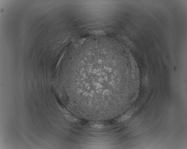 X0000067870658200604271737