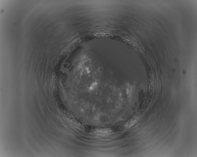 X0000067870659200604271737