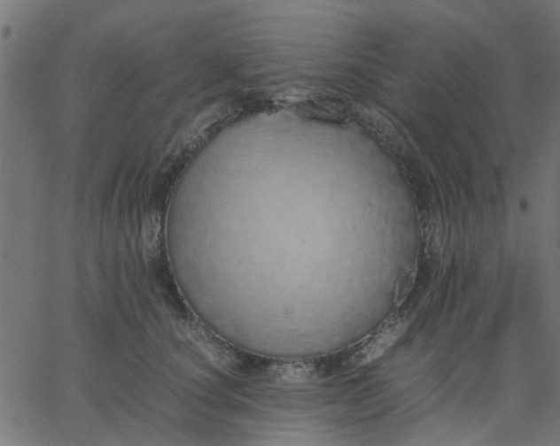 X0000067870660200604271737