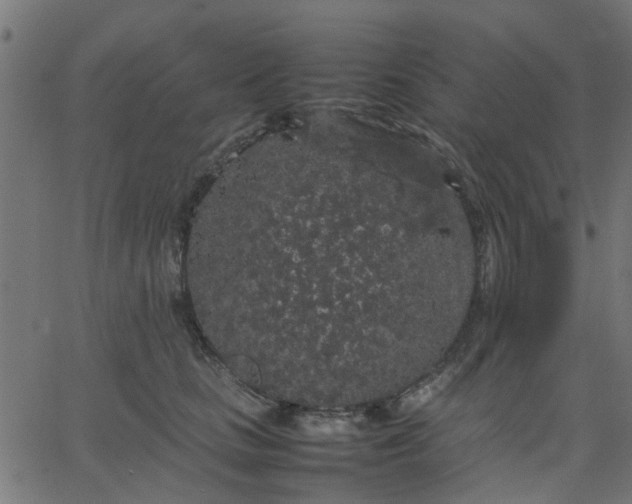 X0000067870661200604271737