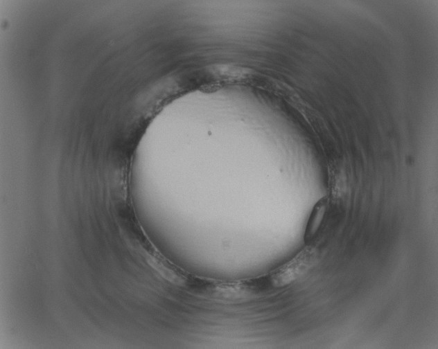 X0000067870666200604271737