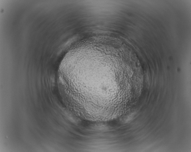 X0000067870668200604271737