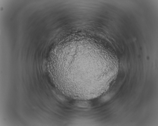 X0000067870671200604271737