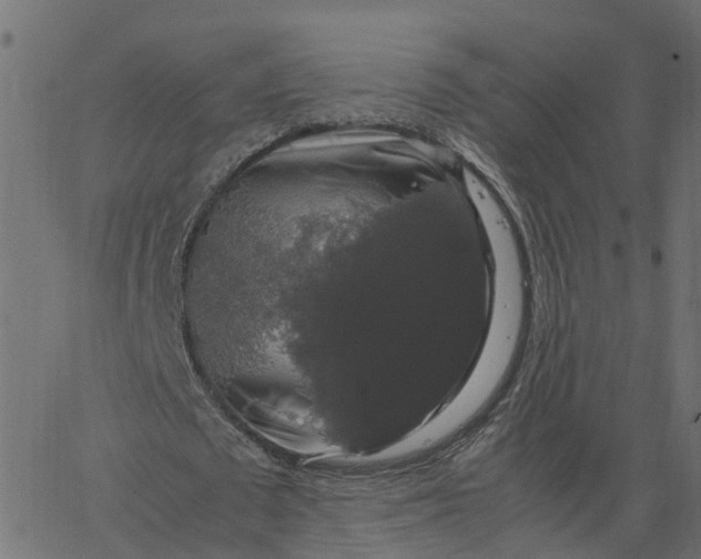 X0000067870673200604271736