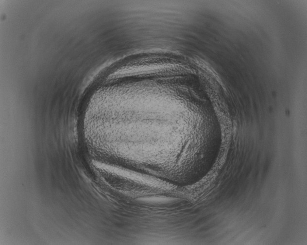 X0000067870676200604271736