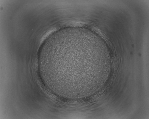 X0000067870679200604271736