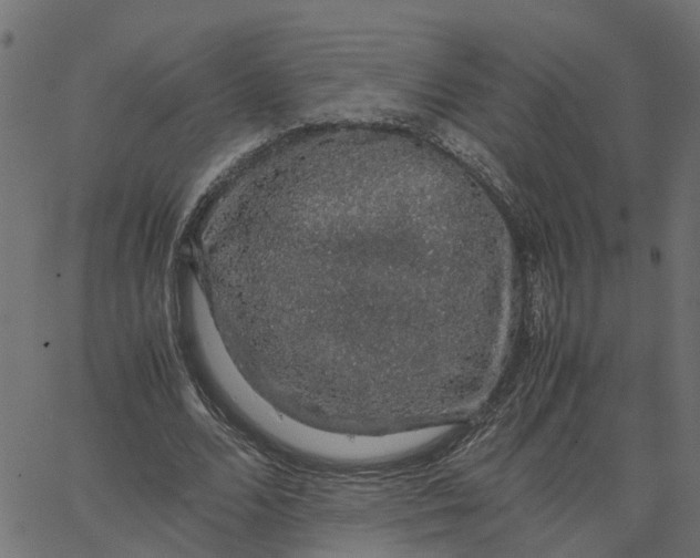 X0000067870680200604271736