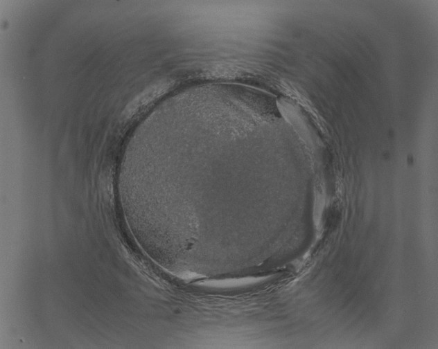 X0000067870681200604271736