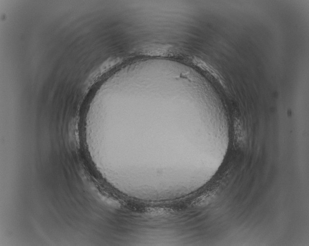 X0000067870682200604271736