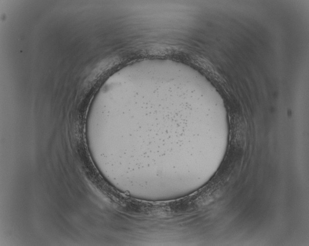 X0000067870683200604271736