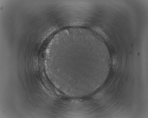 X0000067870684200604271736