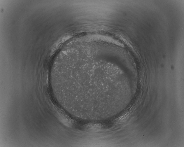 X0000067870685200604271736