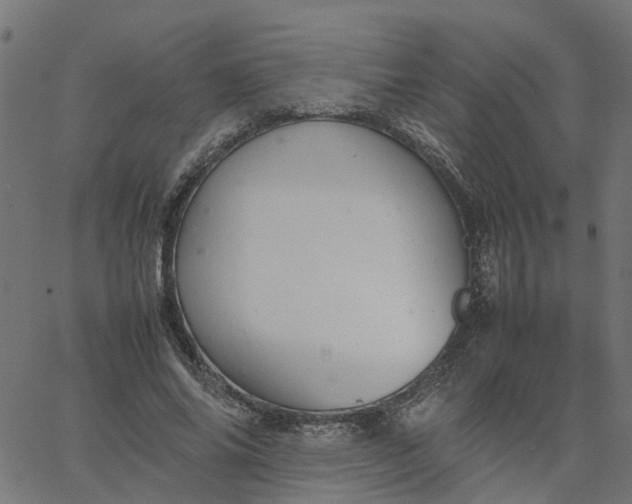 X0000067870686200604271736