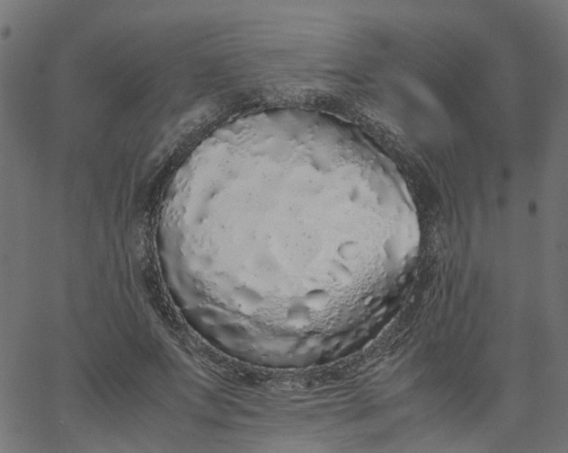 X0000067870687200604271736