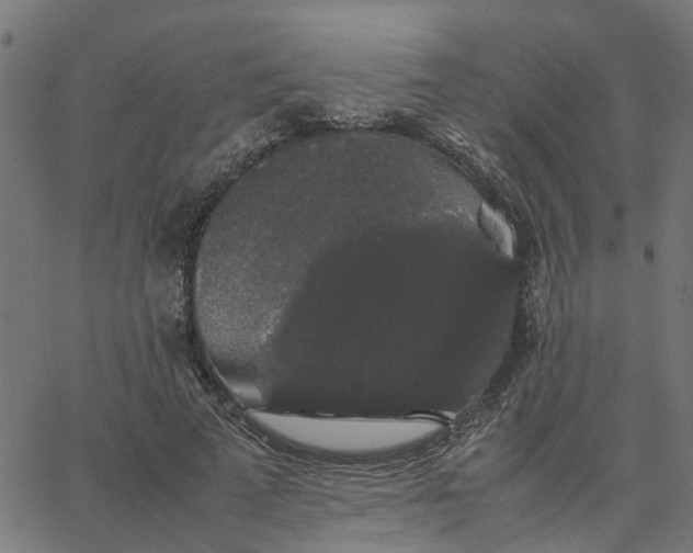 X0000067870689200604271736