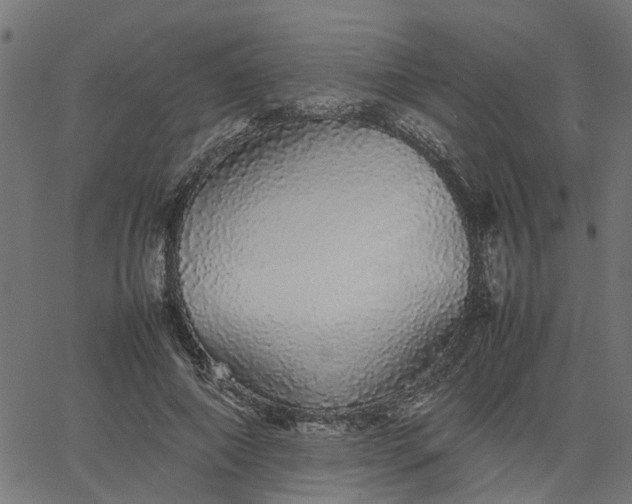 X0000067870690200604271736