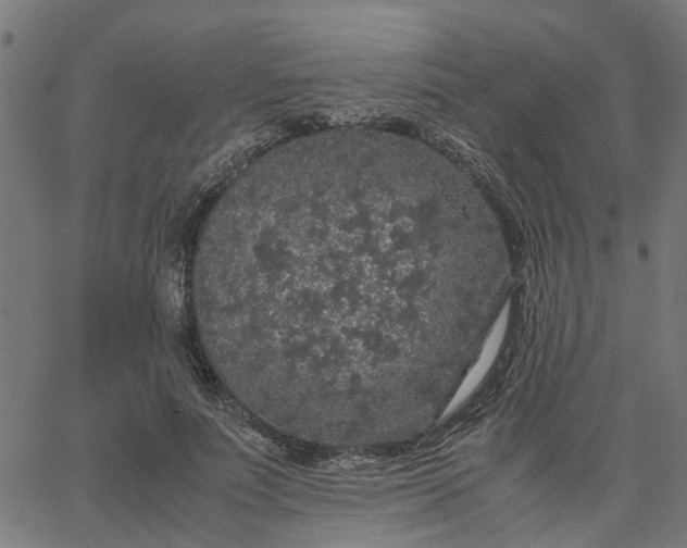 X0000067870691200604271736