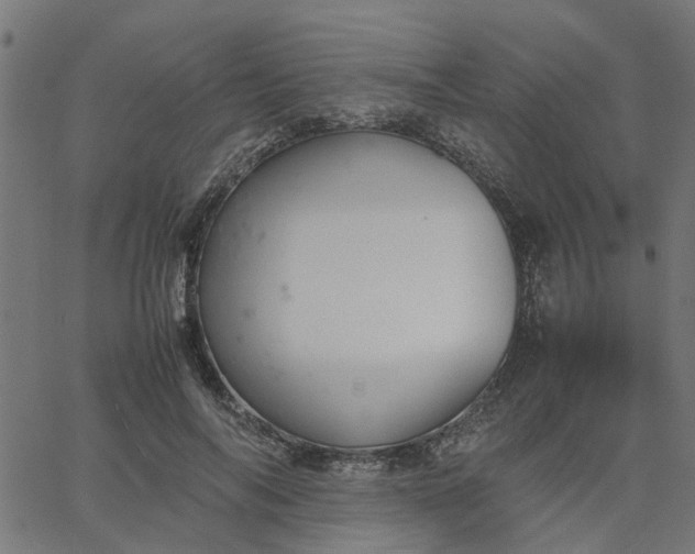 X0000067870694200604271736