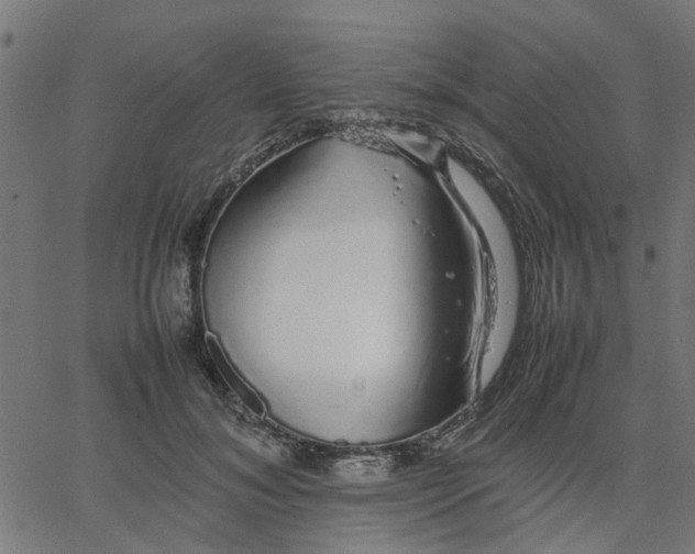 X0000067870700200604271736