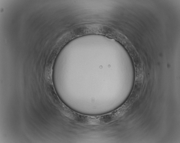 X0000067870701200604271736