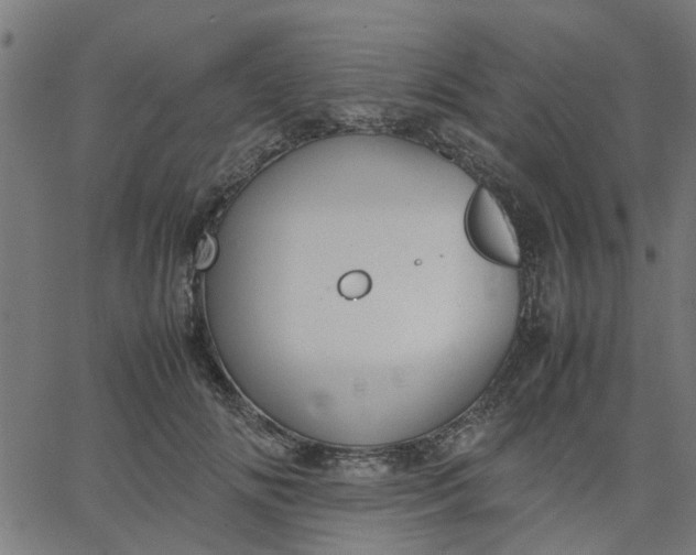 X0000067870702200604271736