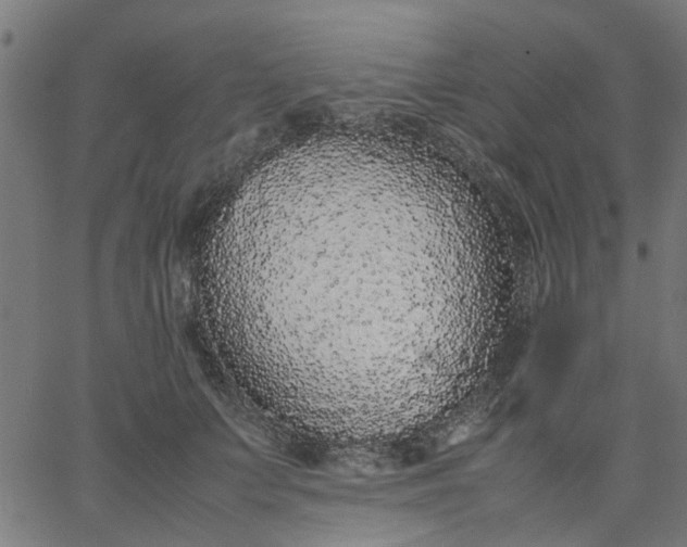 X0000067870703200604271736