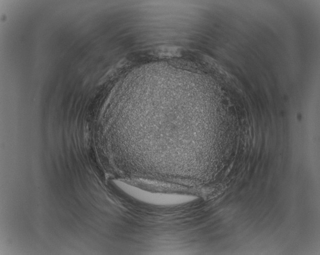 X0000067870704200604271736