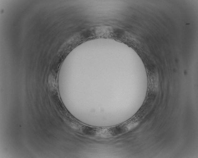 X0000067870705200604271736