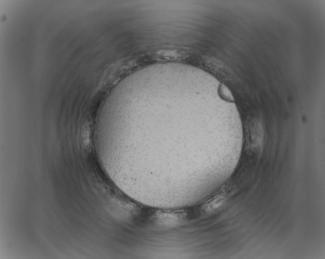 X0000067870706200604271736