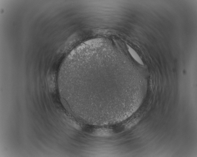 X0000067870708200604271736