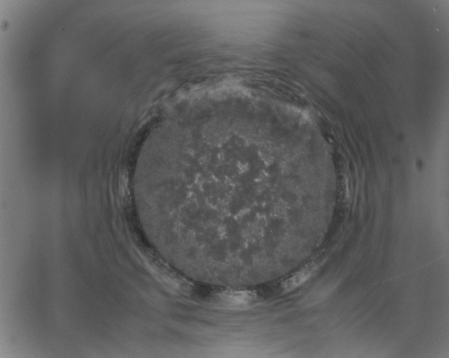 X0000067870711200604271736