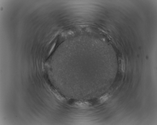 X0000067870712200604271736