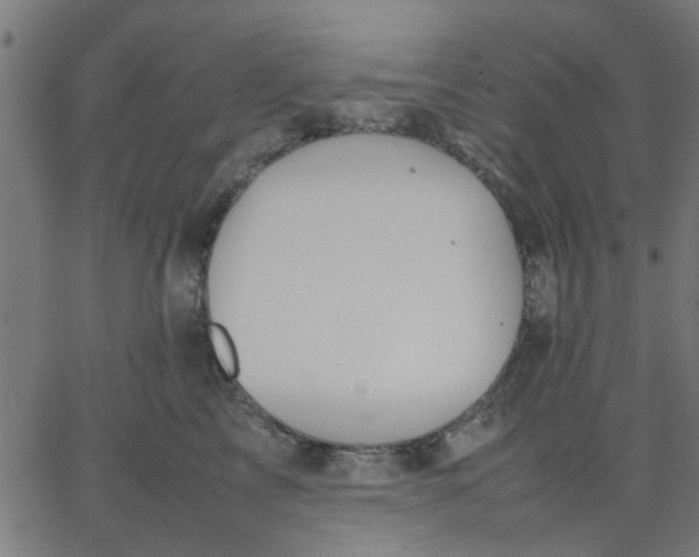 X0000067870713200604271736