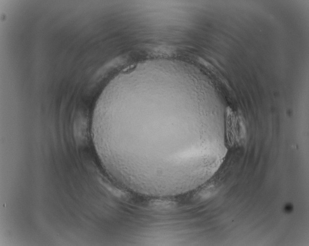 X0000067870714200604271736