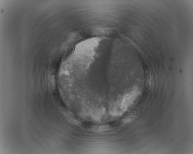 X0000067870716200604271736