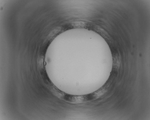 X0000067870717200604271736