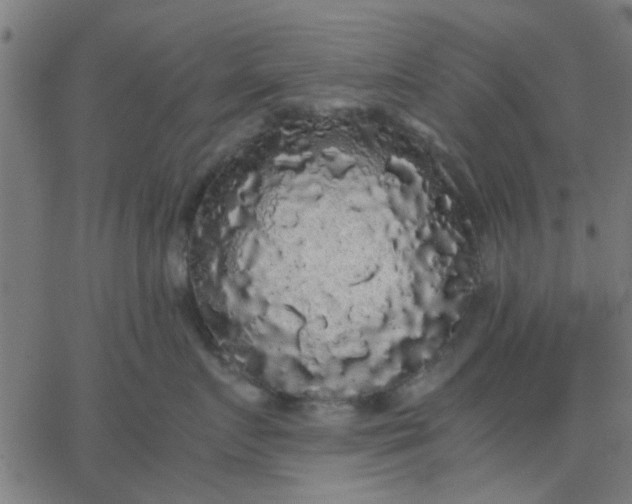 X0000067870719200604271736