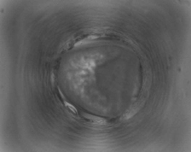 X0000067870720200604271736