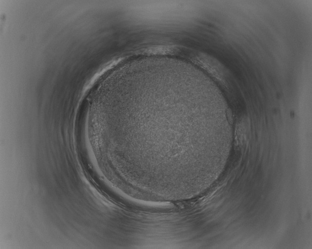 X0000067870722200604271735